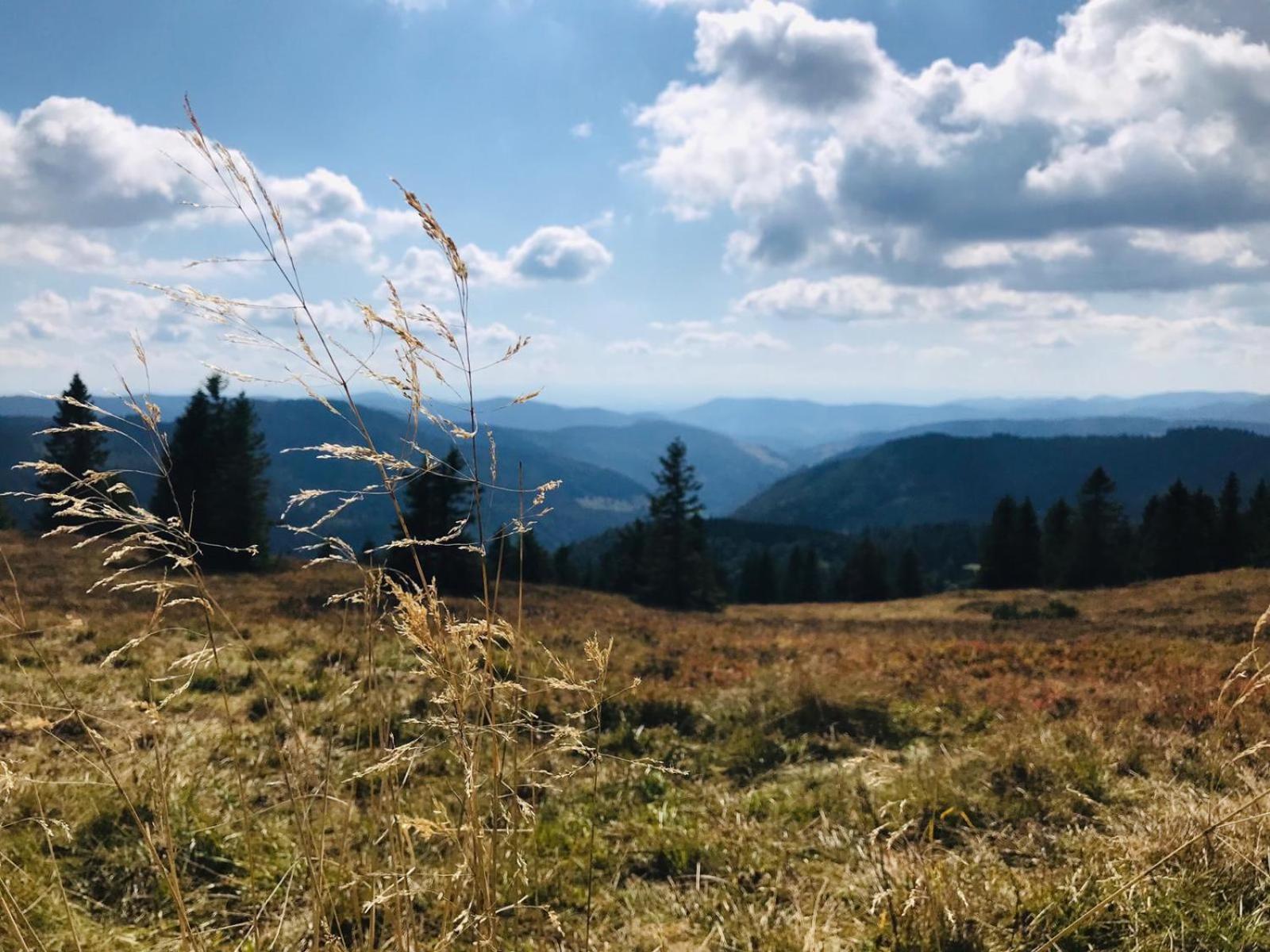 Ferienhaus Robin Titisee-Neustadt Eksteriør bilde