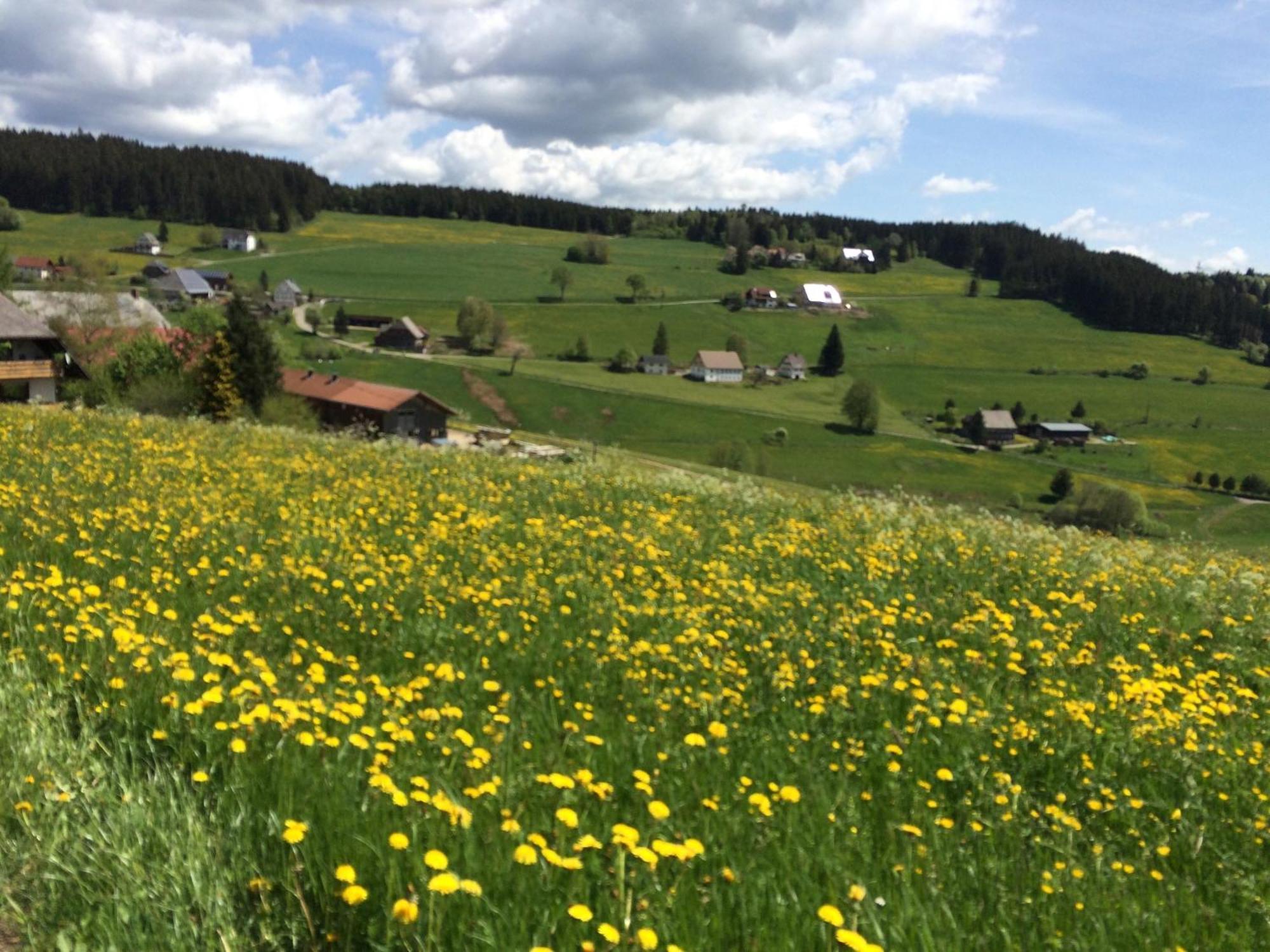 Ferienhaus Robin Titisee-Neustadt Eksteriør bilde